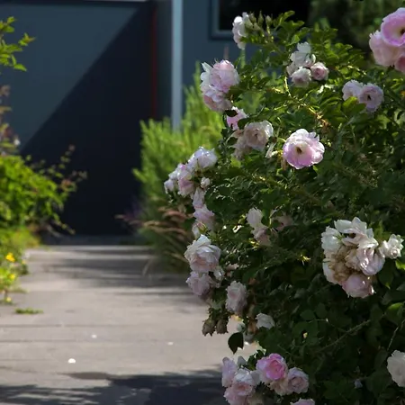 Sonnensteg 23 *
