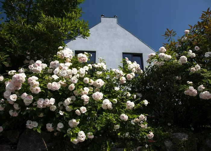 Sonnensteg 23 * Sellin (Rugen)